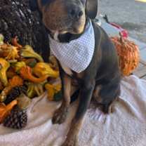 Thumbnail photo of Lyvia #2