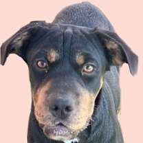 Thumbnail photo of Lyvia #3