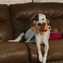 Thumbnail photo of Canaan #3