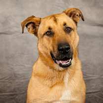 Thumbnail photo of Jabba #1