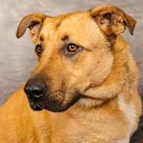 Thumbnail photo of Jabba #2