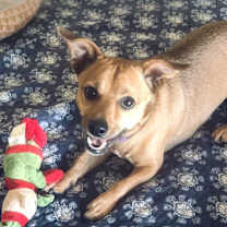 Thumbnail photo of Project boy love him #1