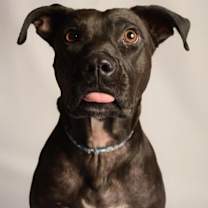 Thumbnail photo of LUCY #3