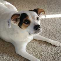 Thumbnail photo of Lilly #1