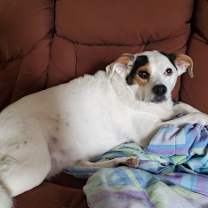 Thumbnail photo of Lilly #2