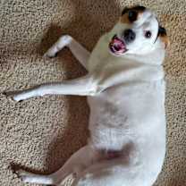 Thumbnail photo of Lilly #3