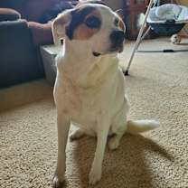 Thumbnail photo of Lilly #4