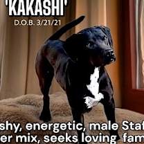 Thumbnail photo of Kakashi #2