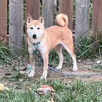 Thumbnail photo of Carlee #2