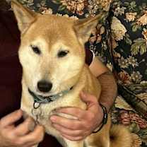 Thumbnail photo of Carlee #3