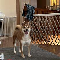 Thumbnail photo of Ranger #3