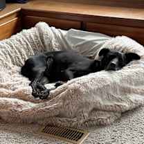 Thumbnail photo of Cooper #1