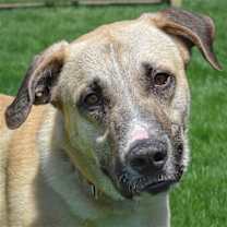 Thumbnail photo of Wyatt #1