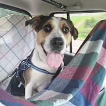 Thumbnail photo of Gruber #4