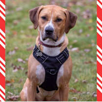 Thumbnail photo of Janet #1