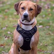 Thumbnail photo of Janet #2