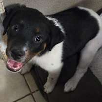 Thumbnail photo of Marty #1