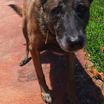 Thumbnail photo of Kiara #2