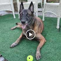 Thumbnail photo of Kiara #4