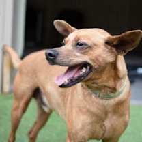 Thumbnail photo of Skipper #3