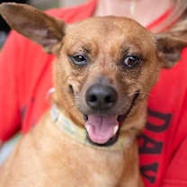 Thumbnail photo of Skipper #3