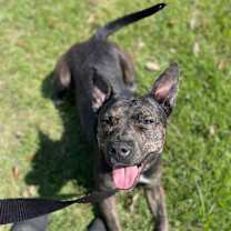 Thumbnail photo of Ellie #3