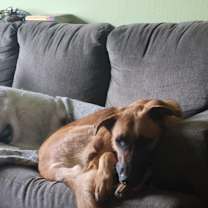 Thumbnail photo of zephyr #3