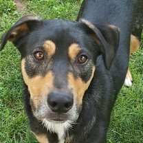 Thumbnail photo of Lager #2