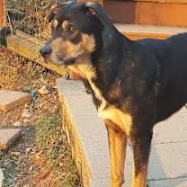 Thumbnail photo of Lager #3