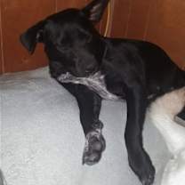 Thumbnail photo of Abbie Gail #2