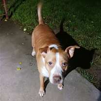 Thumbnail photo of Karl #2