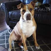 Thumbnail photo of Karl #1