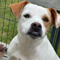 Thumbnail photo of Susie Q #1