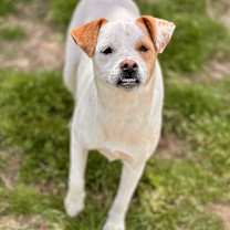 Thumbnail photo of Susie Q #2