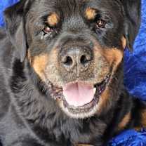 Thumbnail photo of Rocky Conklin #1
