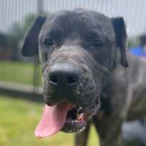 Thumbnail photo of Gerald #1