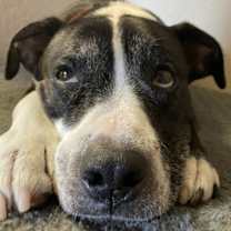 Thumbnail photo of Honey B #2