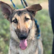 Thumbnail photo of Diego #3