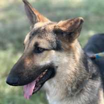 Thumbnail photo of Diego #4