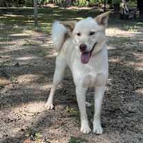 Thumbnail photo of Harry #2