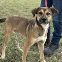 Thumbnail photo of Alex #1