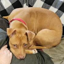 Thumbnail photo of CHETTI (COURTESY POST) #2