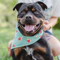 Thumbnail photo of Norbert #1