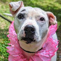 Thumbnail photo of Sally #2