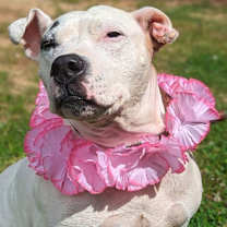 Thumbnail photo of Sally #3