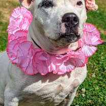 Thumbnail photo of Sally #4