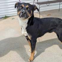 Thumbnail photo of Willie #2