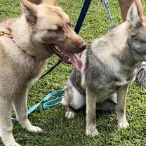 Thumbnail photo of Jack & Jill #2