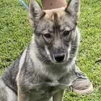 Thumbnail photo of Jack & Jill #3