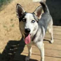 Thumbnail photo of Sky #1